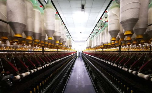 外貿訂單流失的連鎖反應 從港口空箱到產業升級的陣痛與機遇